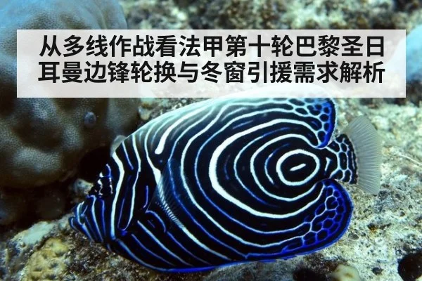 从多线作战看法甲第十轮巴黎圣日耳曼边锋轮换与冬窗引援需求解析（j9 game）